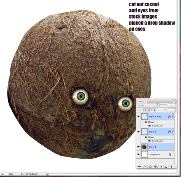 Creation of Coco - Nutter!: Step 1